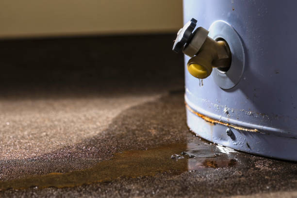 Best Sewage cleanup and water damage restoration  in Abram, TX