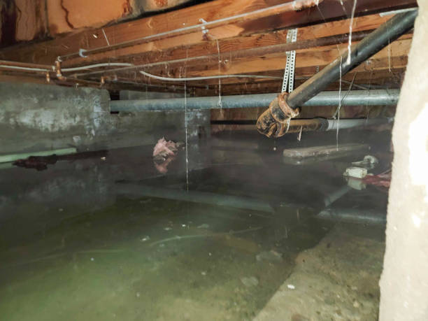 Water damage restoration mold remediation in Abram, TX