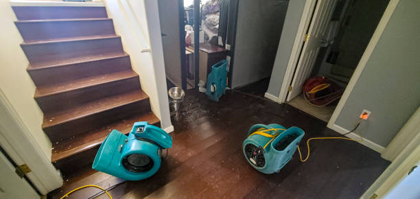 Best Water damage restoration near me  in Abram, TX