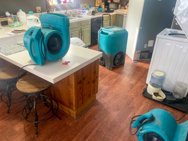 Best Basement water damage restoration  in Abram, TX