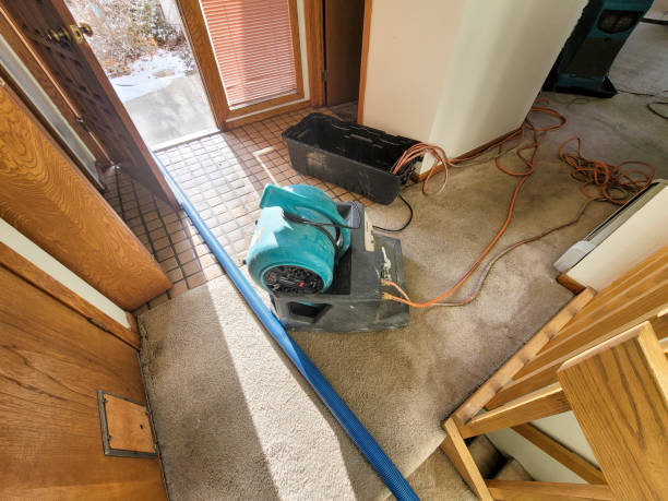 Best Water damage restoration specialists  in Abram, TX