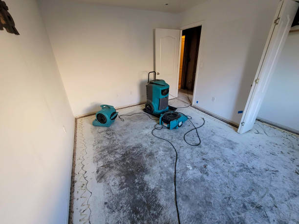 Best Local water damage restoration  in Abram, TX