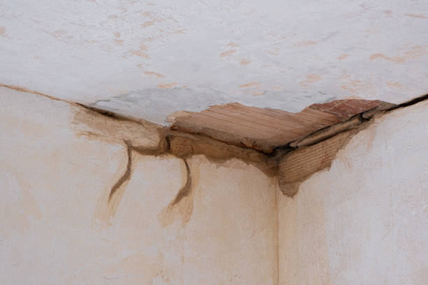 Best Water damage restoration cost  in Abram, TX