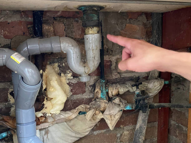 Best Mold removal after water damage  in Abram, TX