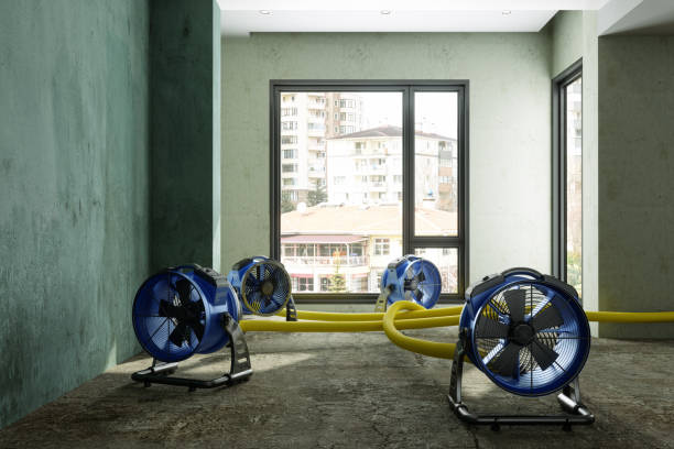 Local water damage restoration in Abram, TX